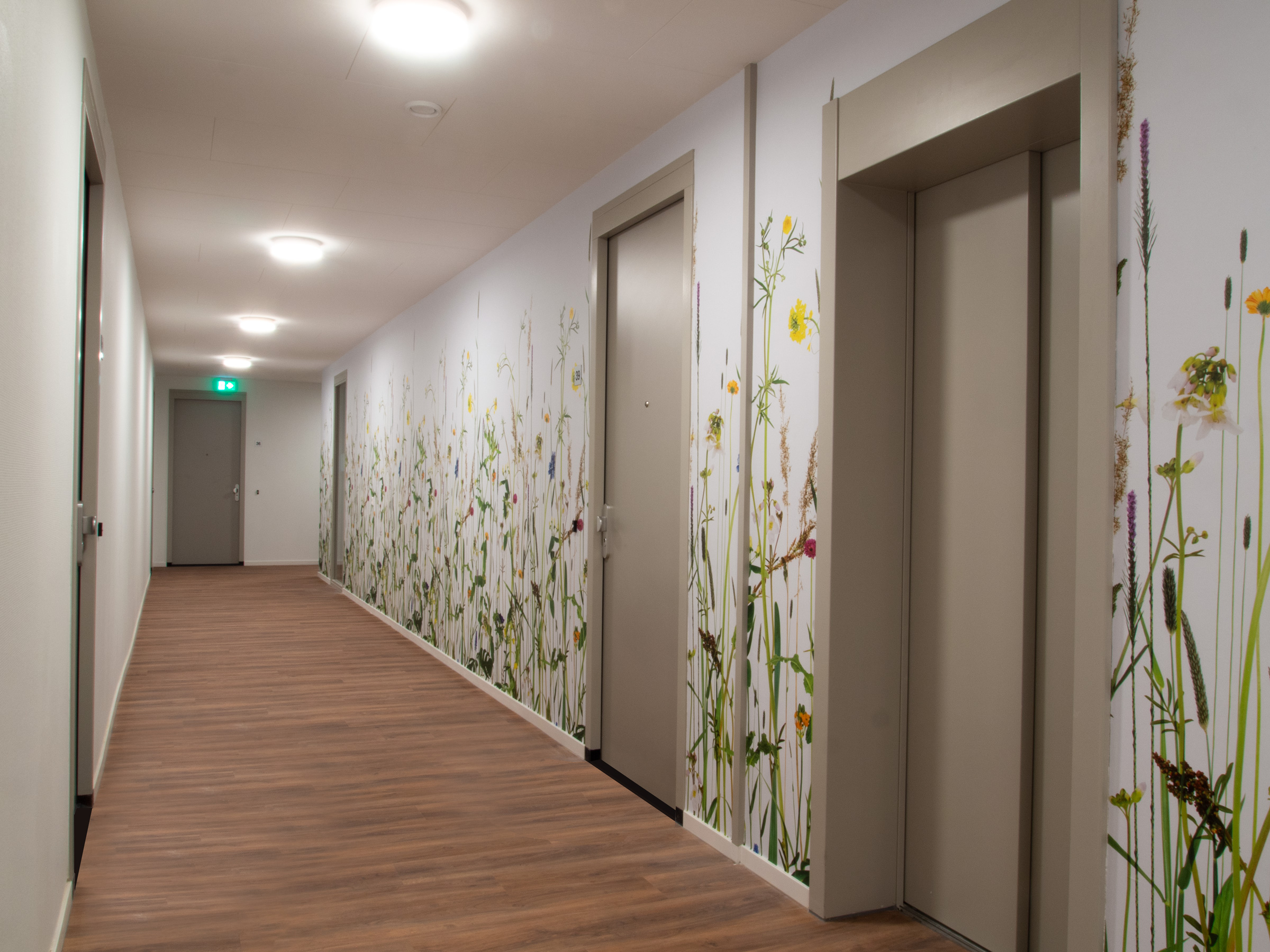 Muurbloem wallcovering Flowers+LeavesRiverside, Marginal Plants Hof Van Tuindorp 02