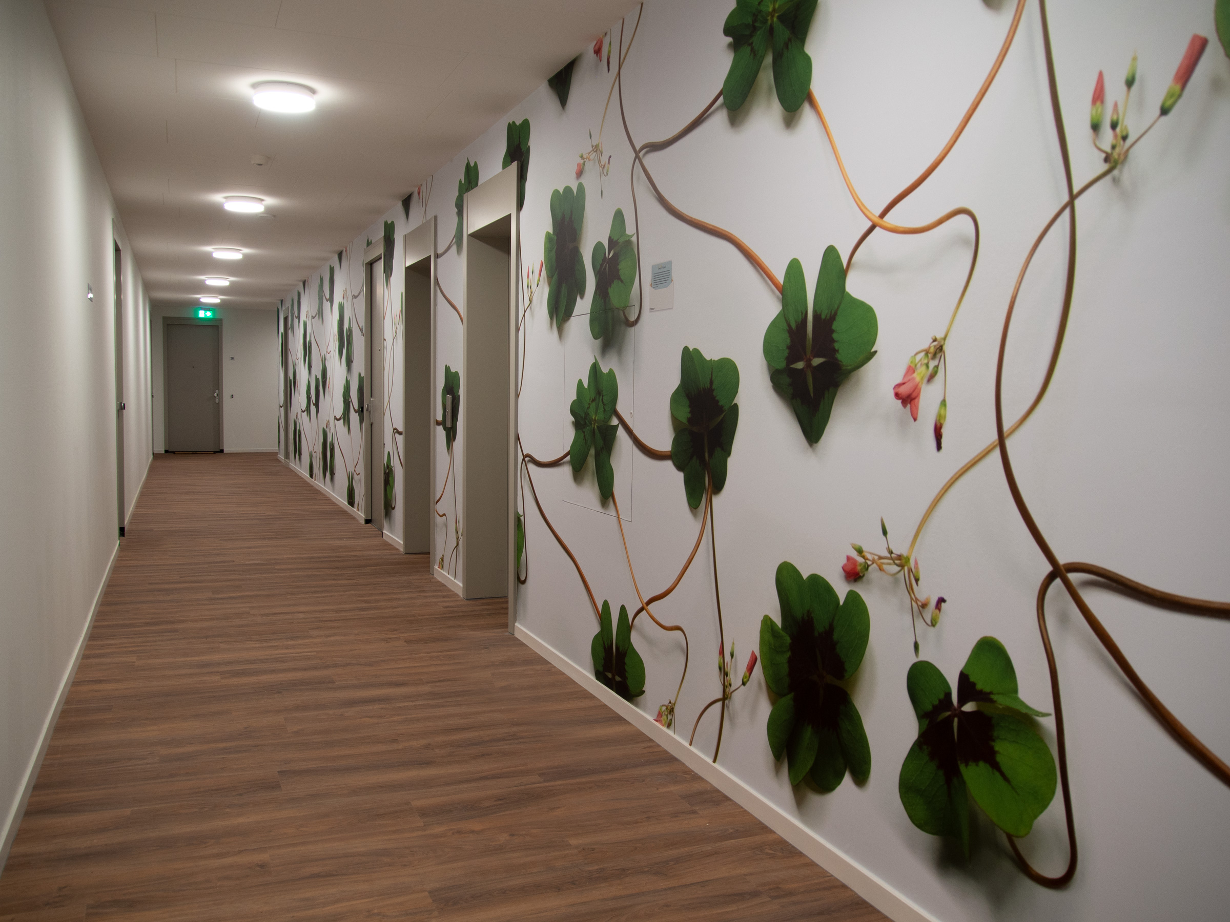 Muurbloem wallcovering Flowers+Leaves Park, Clover Hof Van Tuindorp 01