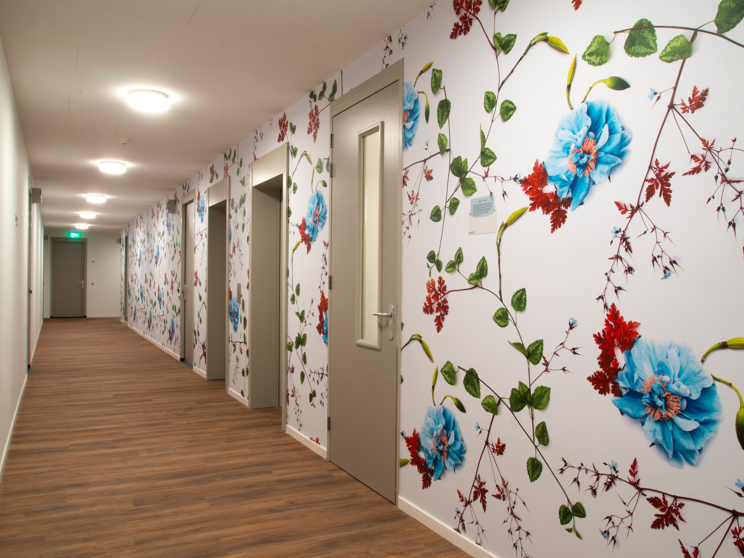 Muurbloem wallcovering Flowers+Leaves Patio, Herb Robert & Rose Hof Van Tuindorp 03